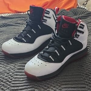 Nike Air High-Top Darwin RARE Sneakers Size 11